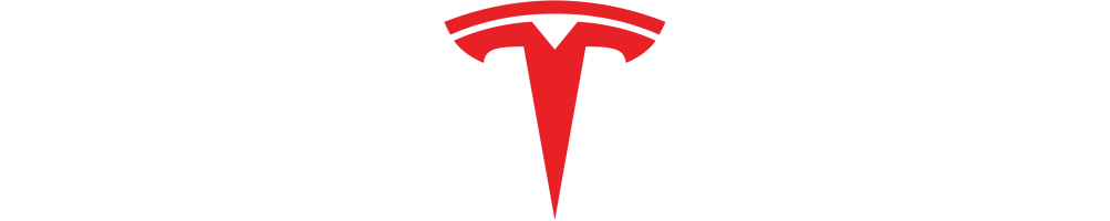 TESLA valytuvai